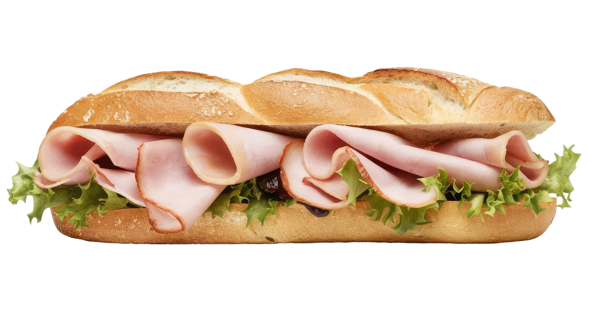Tortas Locas Hipocampo Poniente 1